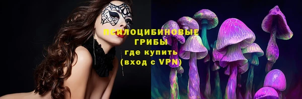 твердый Володарск
