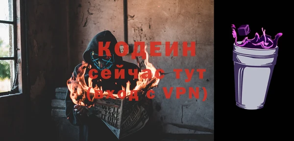 твердый Володарск