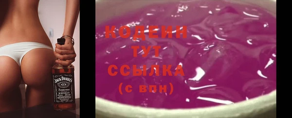 твердый Володарск